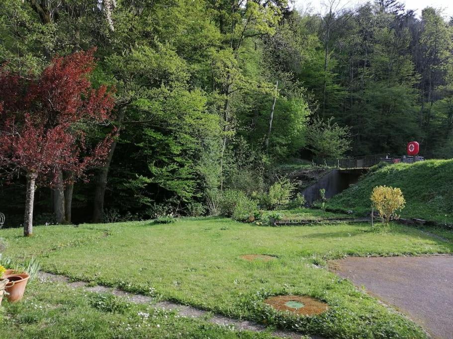Appartement entier rénové dans un écrin de verdure Thann Exterior foto