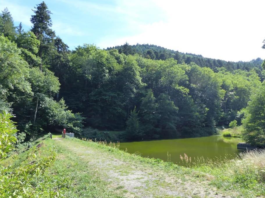 Appartement entier rénové dans un écrin de verdure Thann Exterior foto